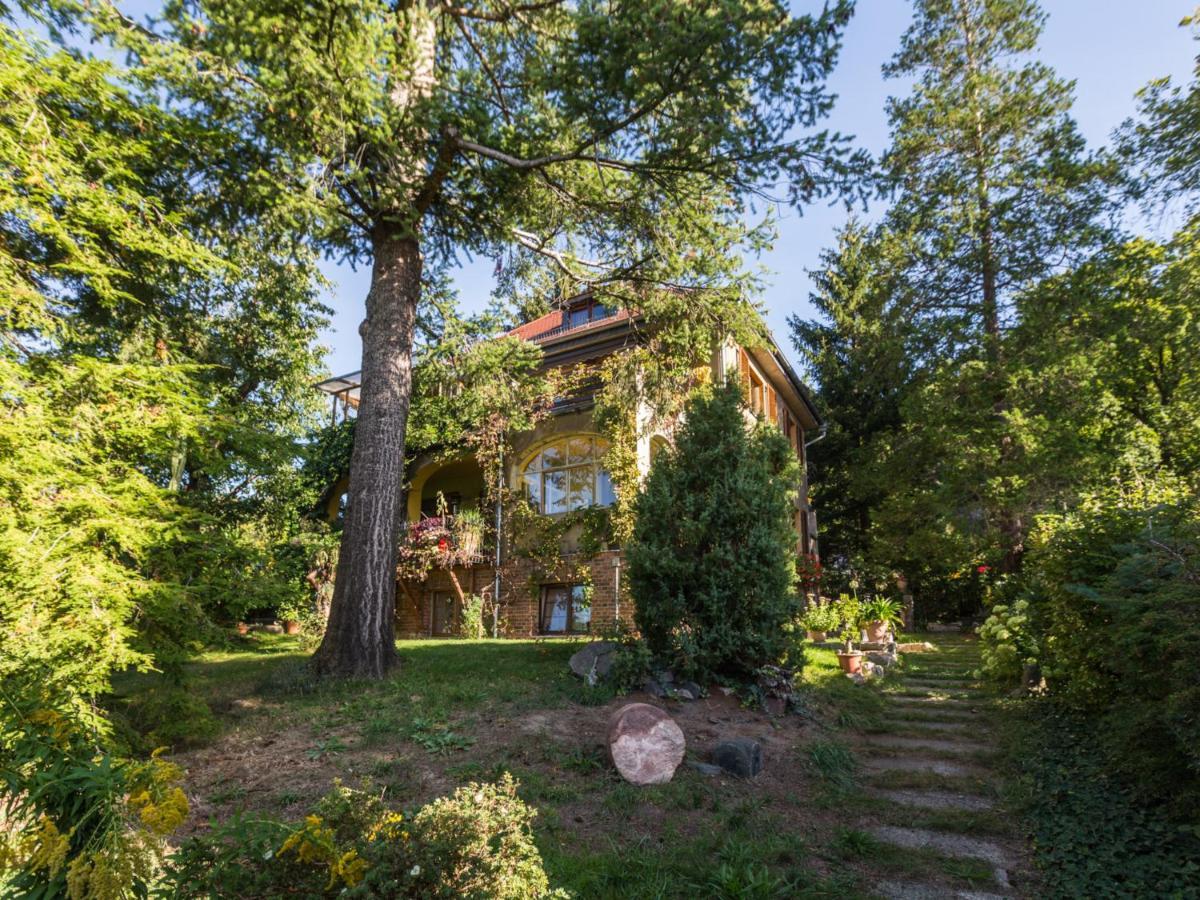 Ferienwohnung Dresden-Pillnitz - Elbhang-Villa - "Am Zuckerhut" Exterior photo